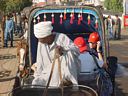 Carriages, Edfu