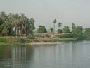 Nile scenes